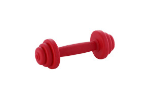 Dog toy in a shape of a barbell made from rubber thermoplastic TPR