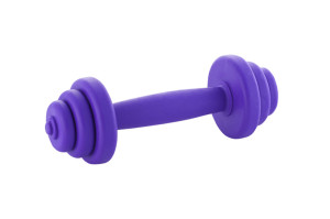 Thermoplastic rubber dog toy barbell shaped