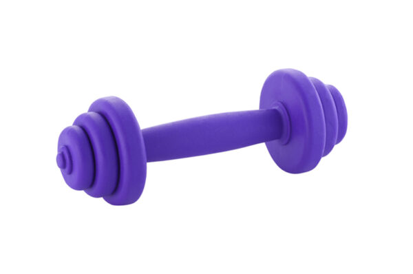 Thermoplastic rubber dog toy barbell shaped