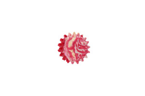 Prickly ball shaped dog chewing toy made from TPR, floats
