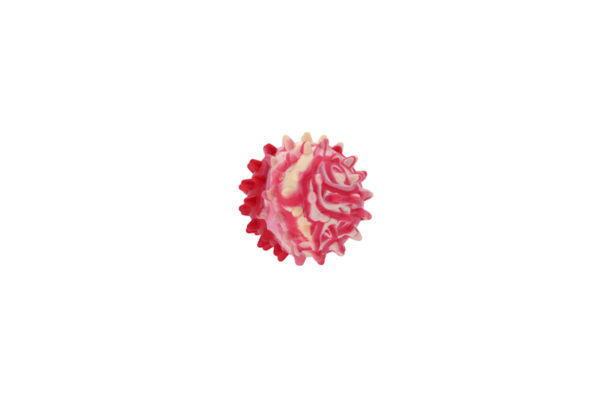 Prickly ball shaped dog chewing toy made from TPR, floats