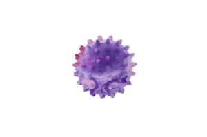 Rubber dog toy with spikes called prickly dog ball