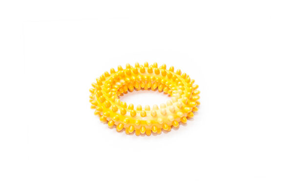 Prickly scented eco-friendly dog toy made of solid rubber